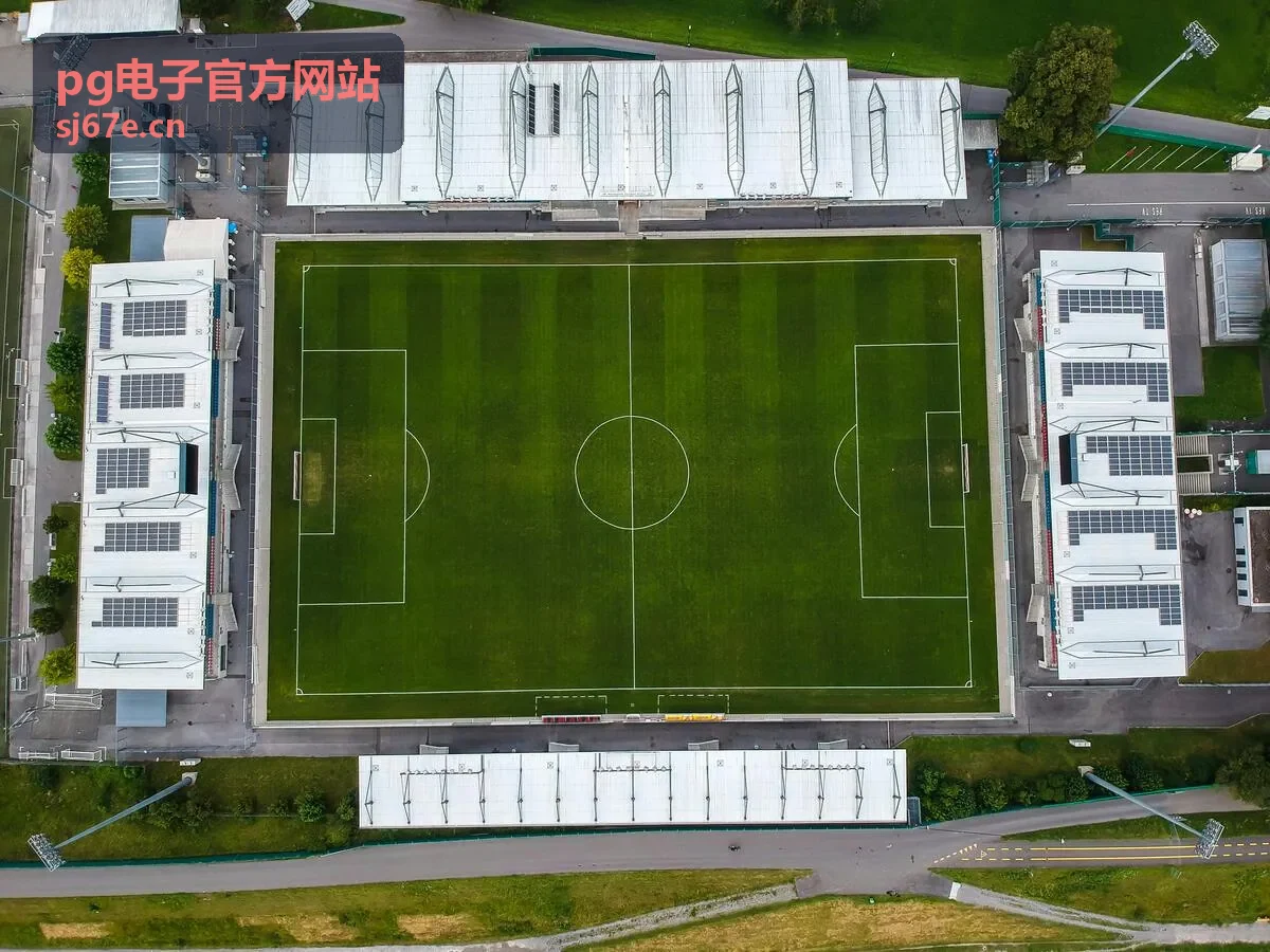 pg电子官方网站 街机竞技玩法指南
